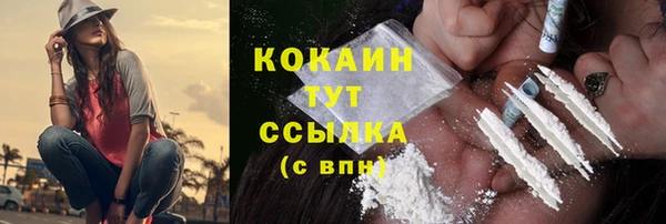 дживик Верея