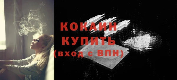 прущие грибы Волоколамск