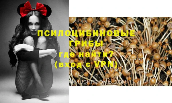 дживик Верея