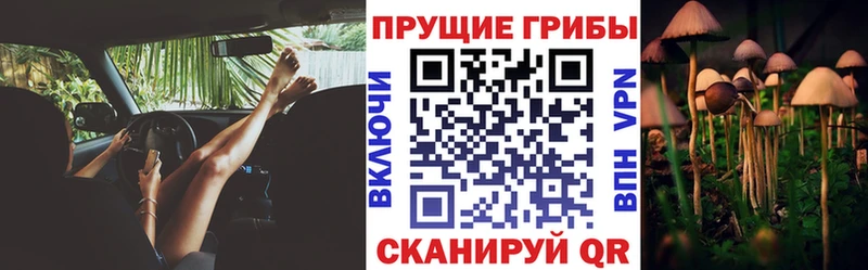 Галлюциногенные грибы MAGIC MUSHROOMS Добрянка